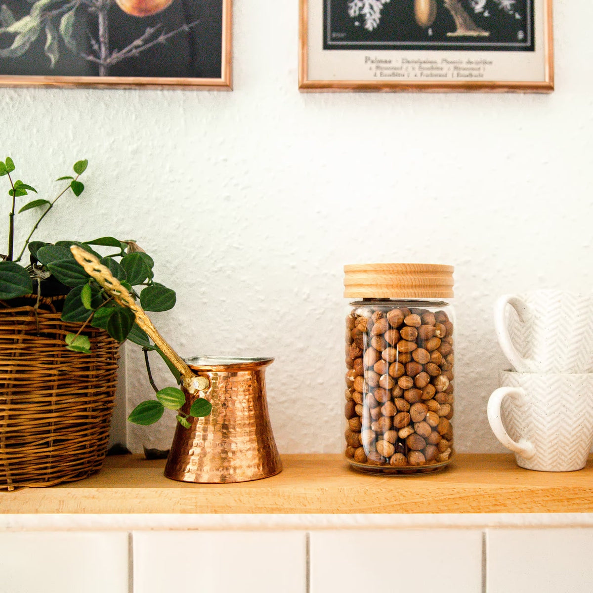 3er Set | Honey Jr., Vorratsglas / Gewürzglas mit Buchendeckel, luftdicht aus Borosilikatglas