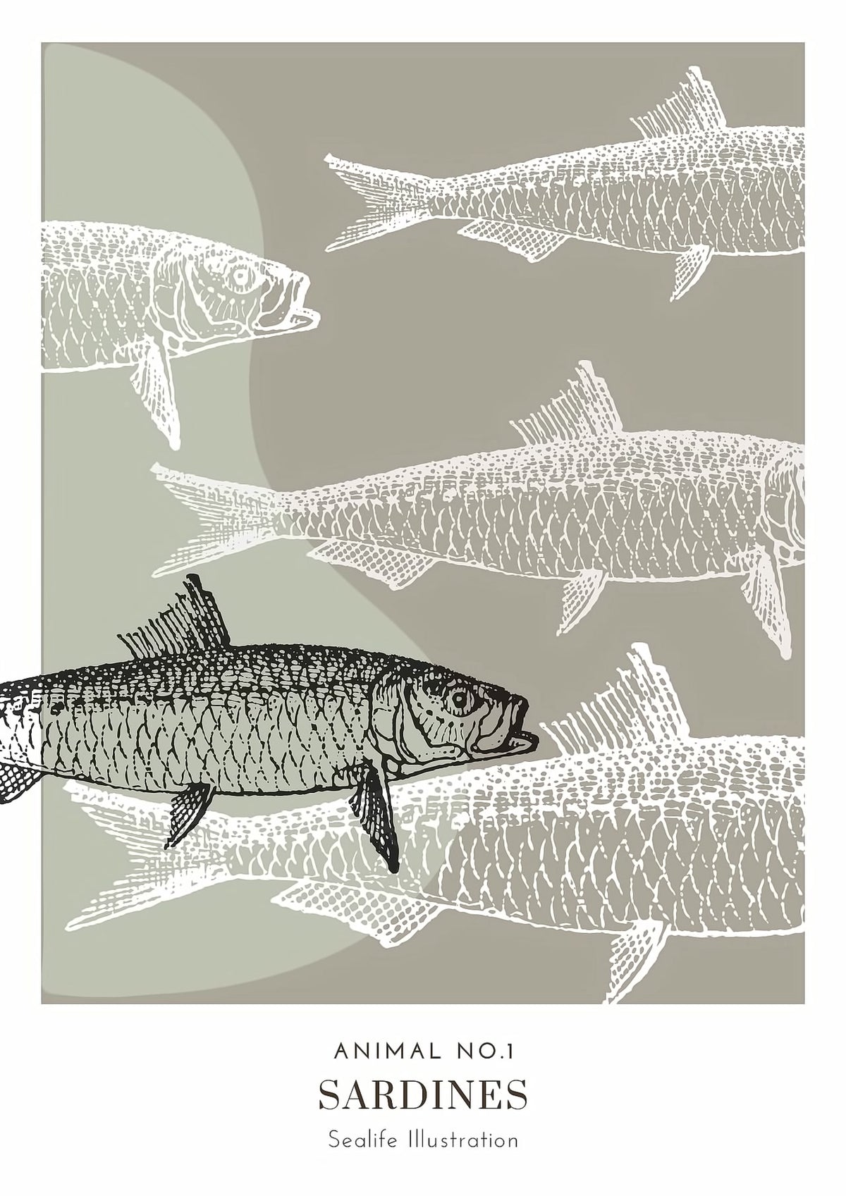 Dosenritter | minimalistische Sealife Wandbilder in einem modernen oliv, abstrakte Druckbilder für Esszimmer