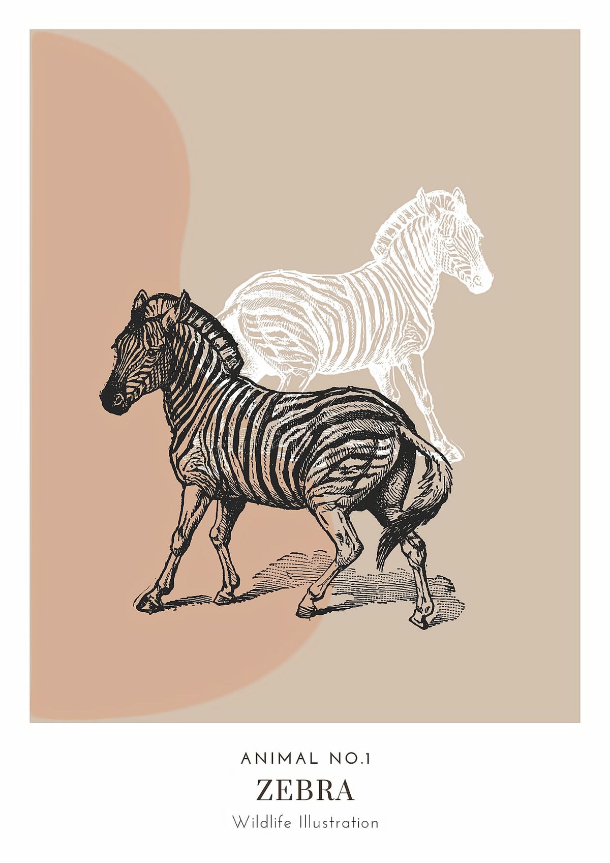 Dosenritter | minimalistische Wildlife Wandbilder in einem modernen beige, abstrakte Druckbilder für Esszimmer
