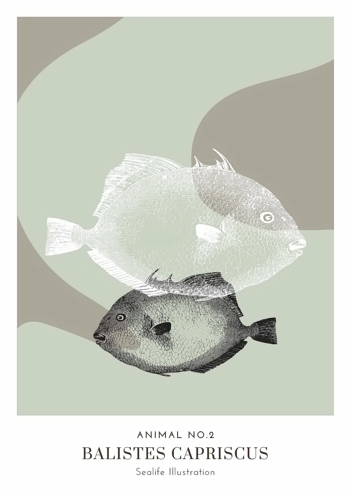 Dosenritter | minimalistische Sealife Wandbilder in einem modernen oliv, abstrakte Druckbilder für Esszimmer