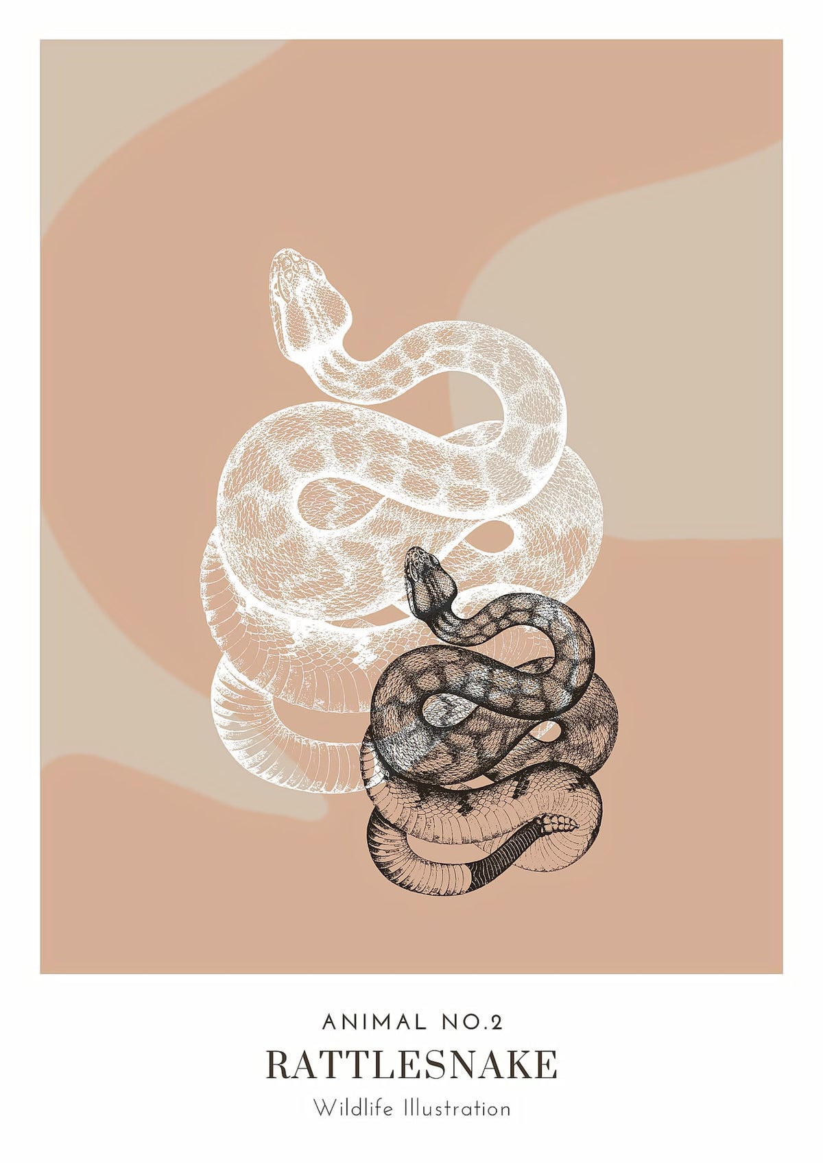 Dosenritter | minimalistische Wildlife Wandbilder in einem modernen beige, abstrakte Druckbilder für Esszimmer
