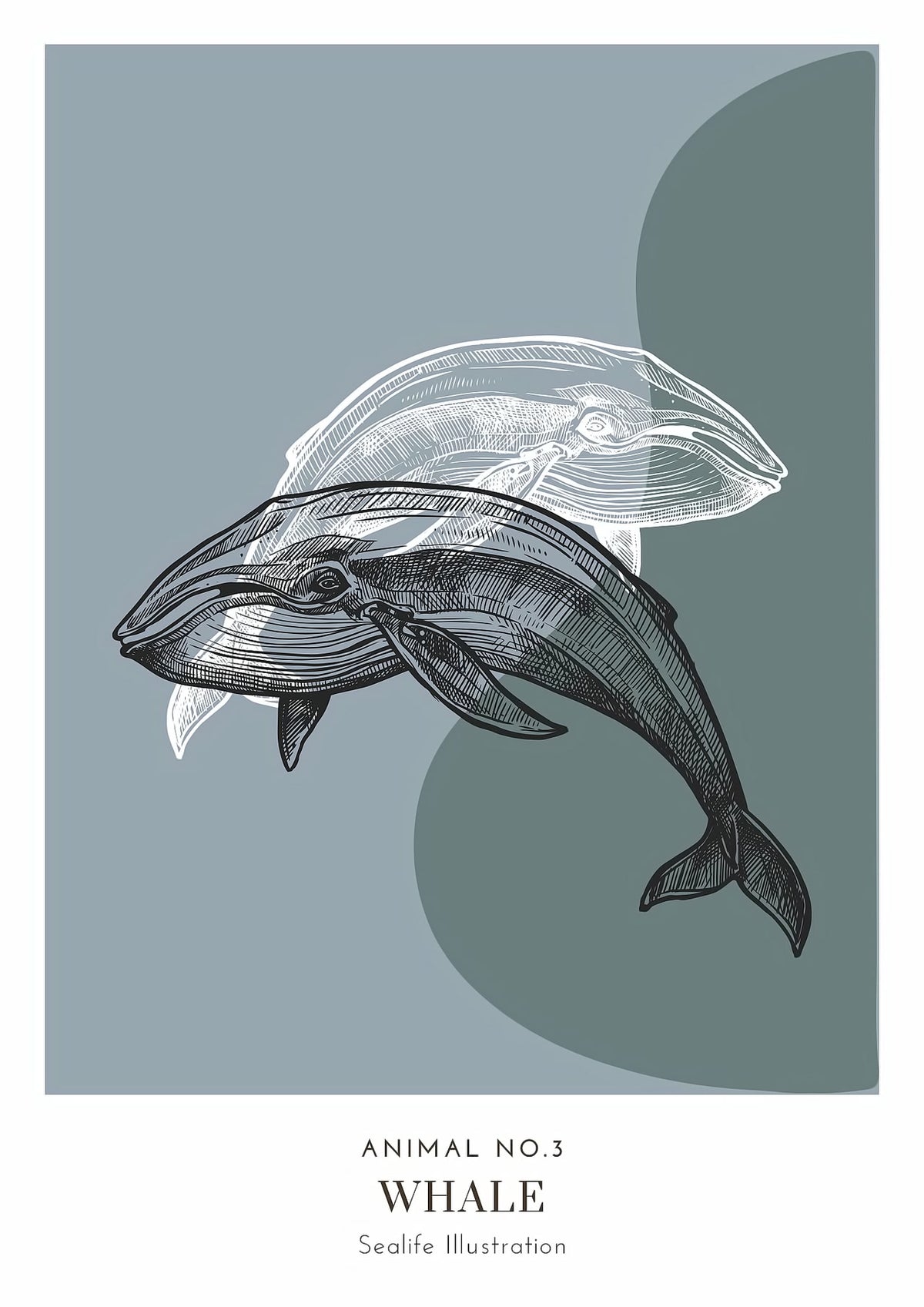 Dosenritter | minimalistische Sealife Wandbilder in einem modernen blaugrau, abstrakte Druckbilder für Esszimmer