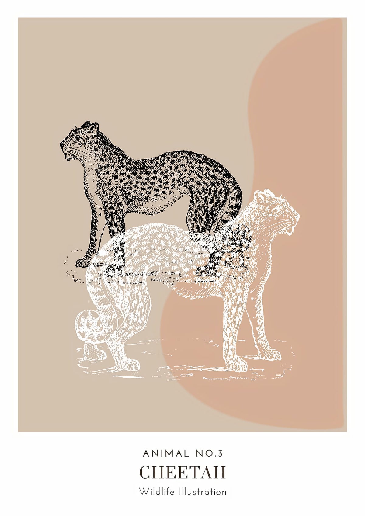 Dosenritter | minimalistische Wildlife Wandbilder in einem modernen beige, abstrakte Druckbilder für Esszimmer
