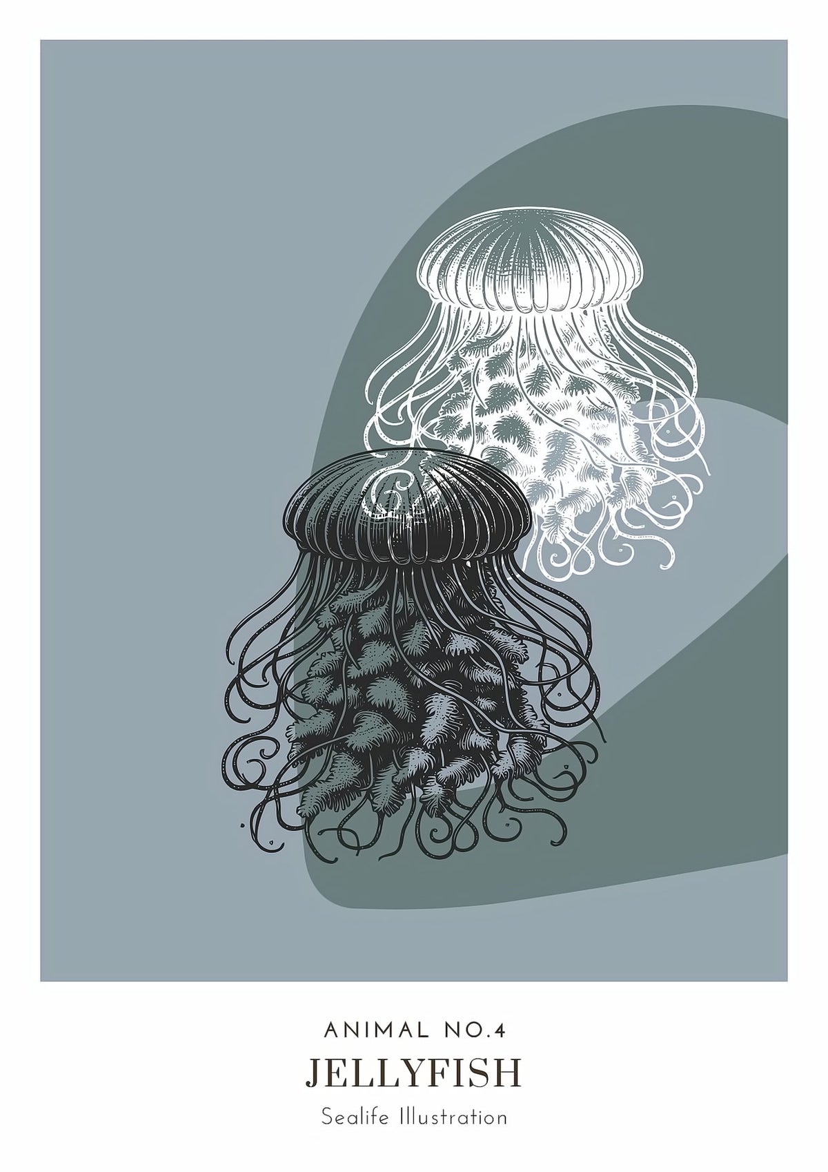 Dosenritter | minimalistische Sealife Wandbilder in einem modernen blaugrau, abstrakte Druckbilder für Esszimmer