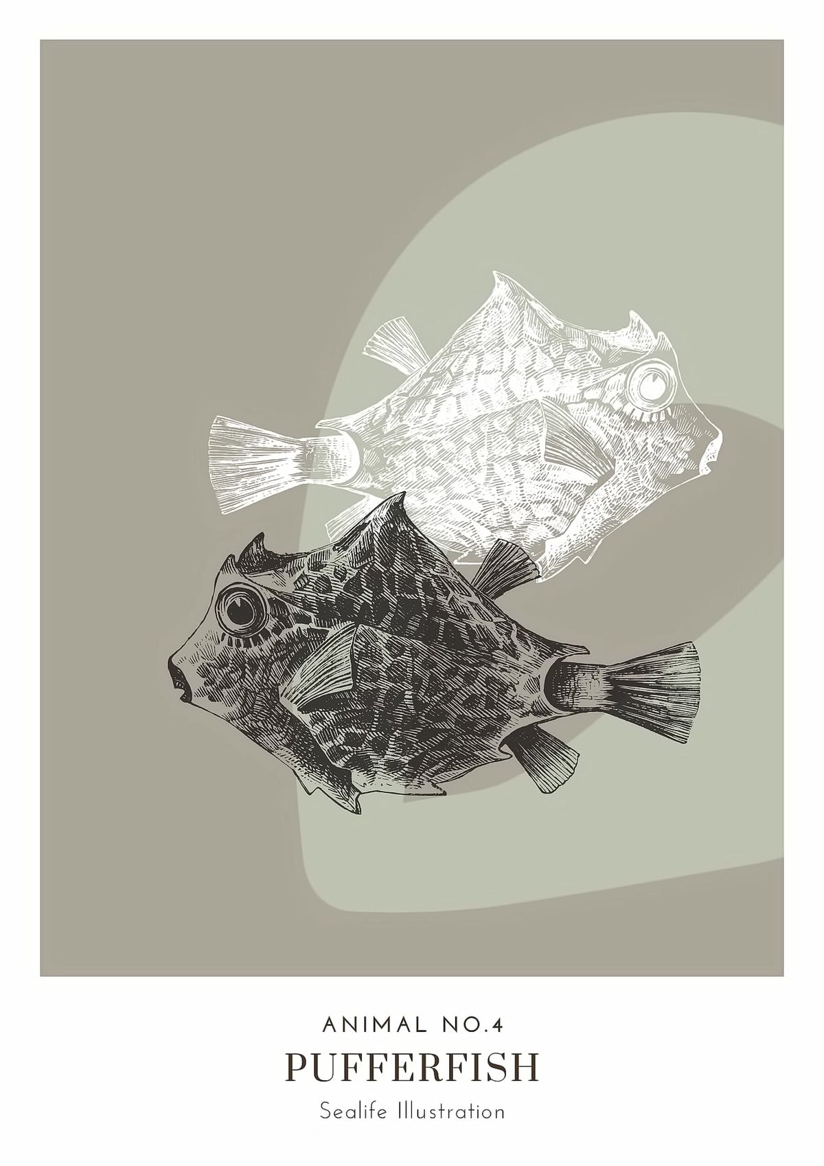 Dosenritter | minimalistische Sealife Wandbilder in einem modernen oliv, abstrakte Druckbilder für Esszimmer