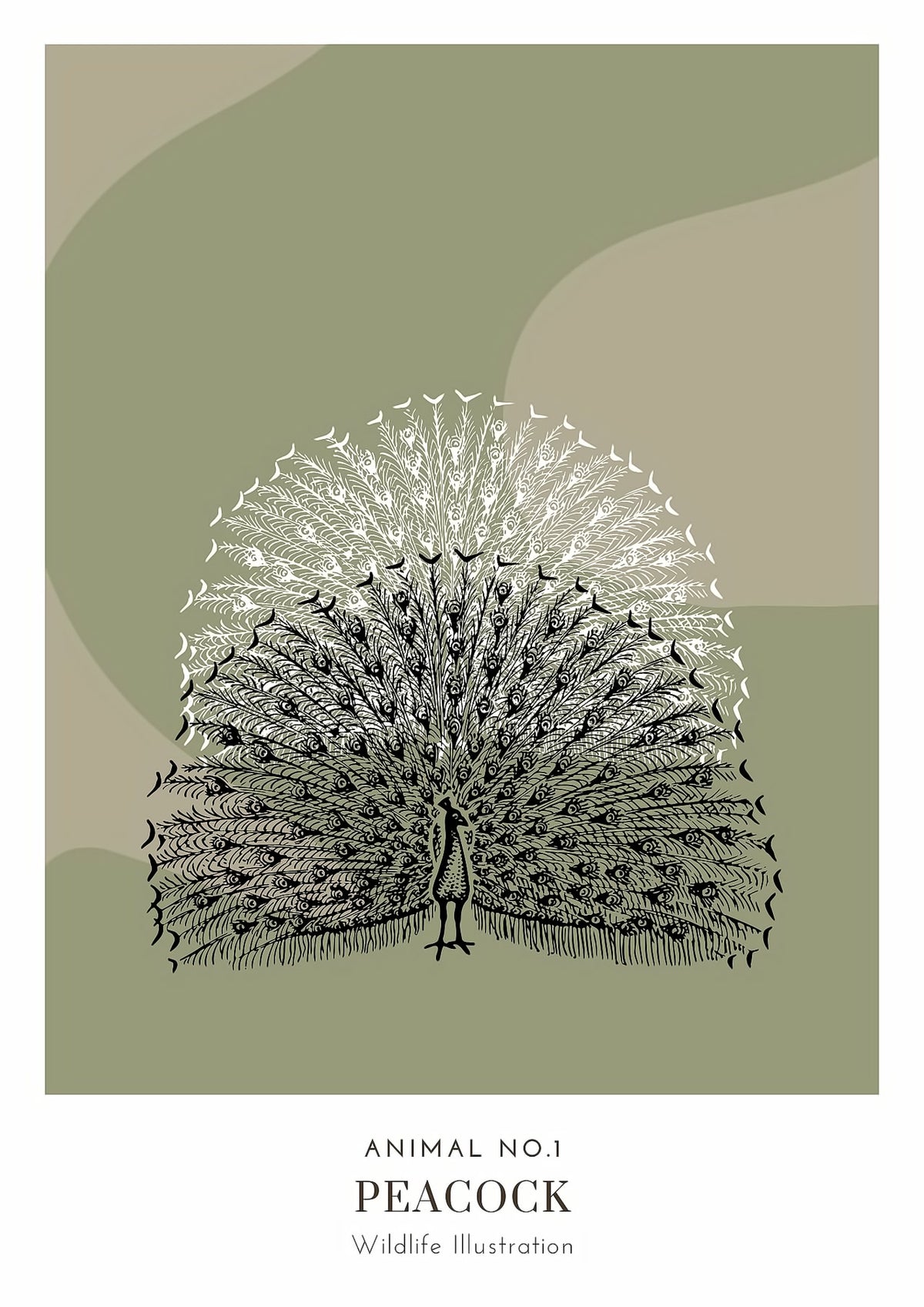 Dosenritter | minimalistische Wildlife Wandbilder in einem modernen olive, abstrakte Druckbilder für Esszimmer