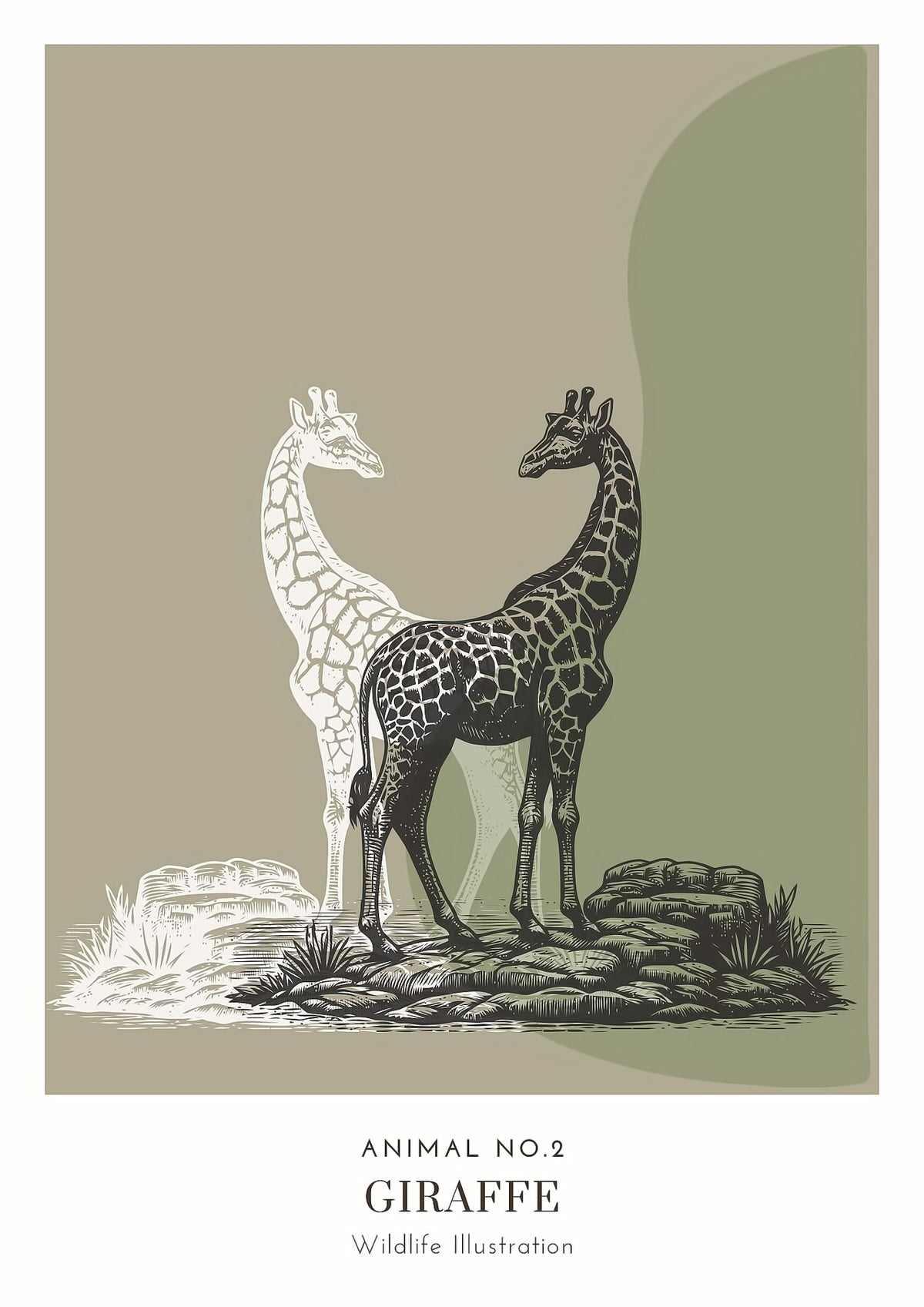 Dosenritter | minimalistische Wildlife Wandbilder in einem modernen olive, abstrakte Druckbilder für Esszimmer