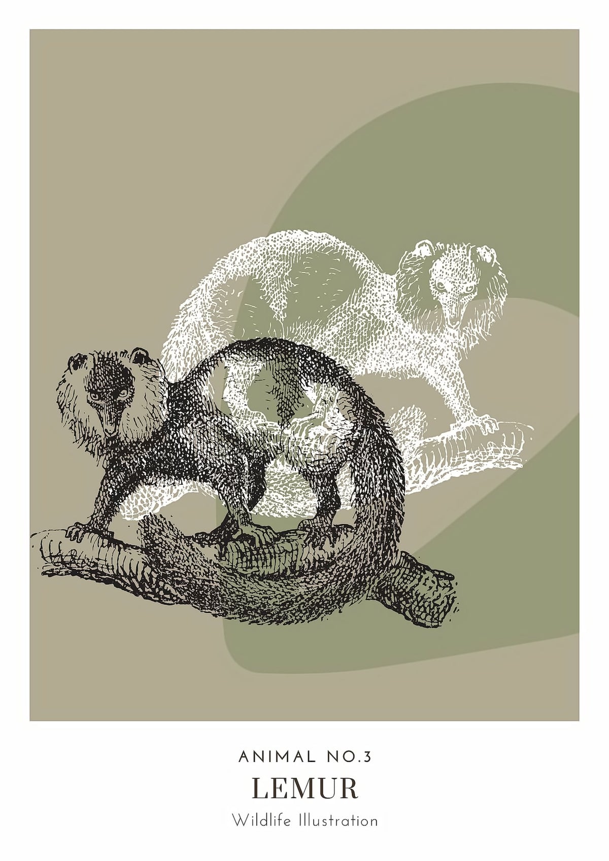 Dosenritter | minimalistische Wildlife Wandbilder in einem modernen olive, abstrakte Druckbilder für Esszimmer