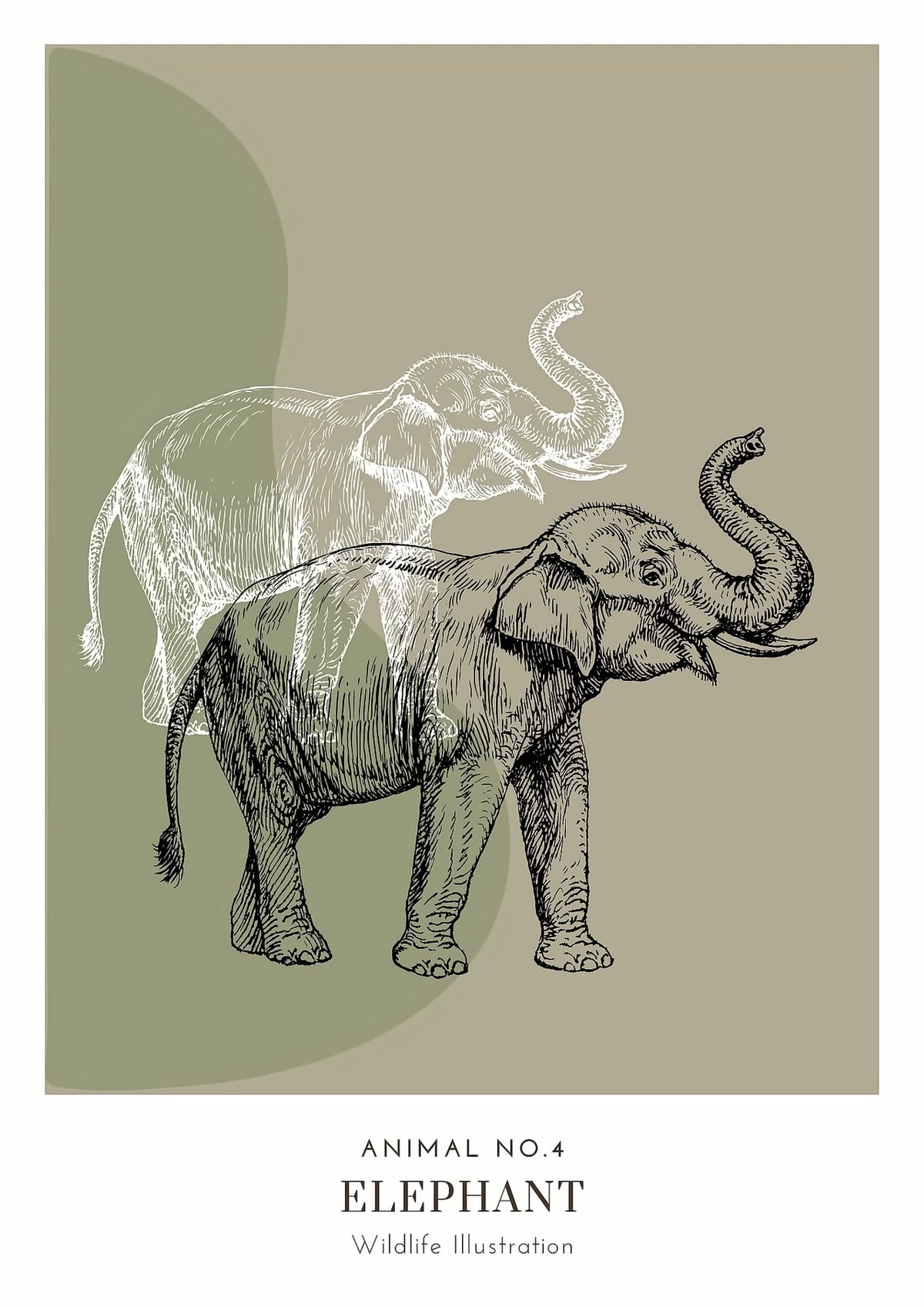 Dosenritter | minimalistische Wildlife Wandbilder in einem modernen olive, abstrakte Druckbilder für Esszimmer